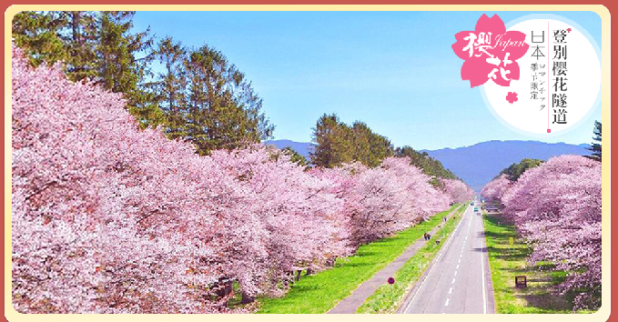 樱漫北海道 南北巡礼泉6日游