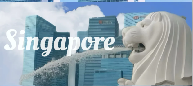 🇸🇬星自由 ✨ 新加坡站5日