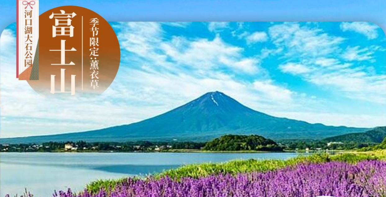 本周三古都双温泉全包餐6天游